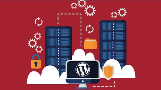 wordpress-hosting-la-gi-1630352893564642370166-0-20-315-581-crop-1630352899845927853730